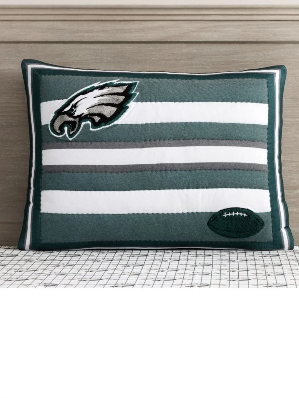 Pottery Barn NFL Philadelphia Eagles Standard Sham NWT